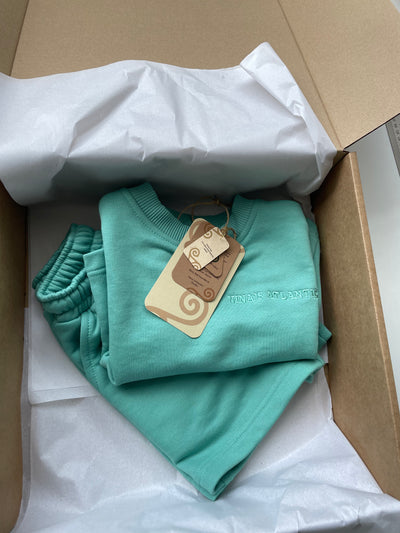 4-8 y o Shorts and top set