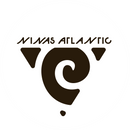 Nina'sAtlantic.Studio